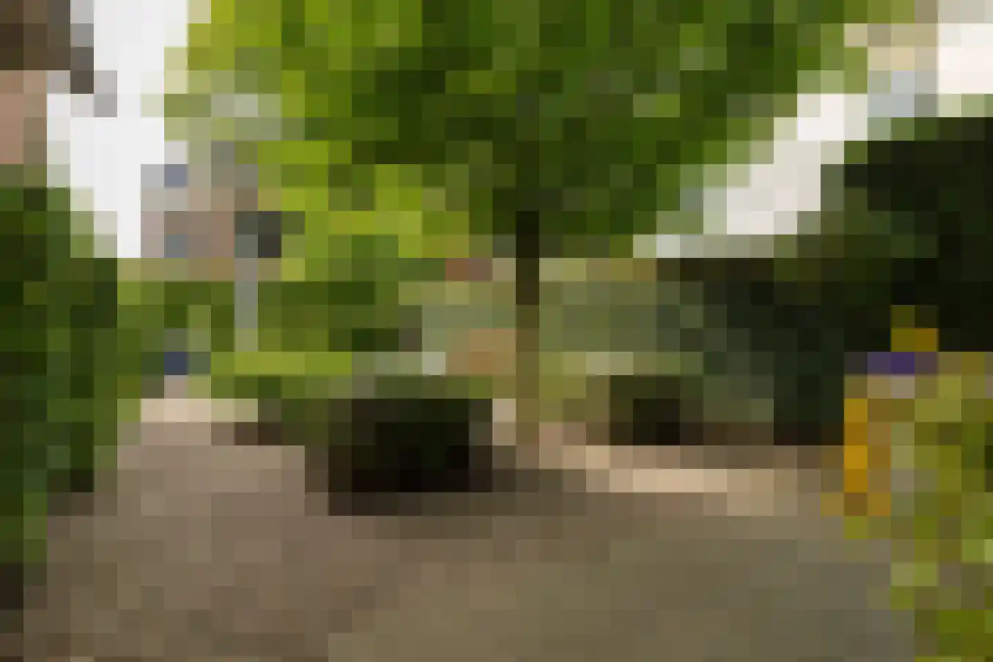 Kampstraat 12 Baarn thumbnail 46