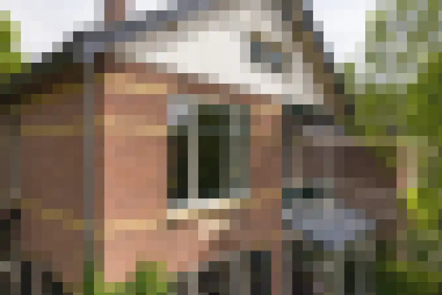 Kampstraat 12 Baarn thumbnail 5