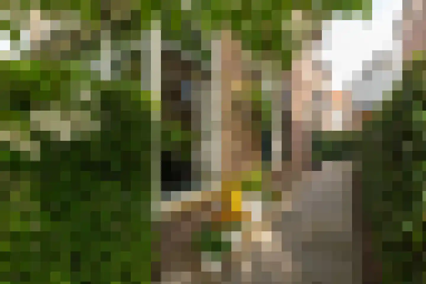 Kampstraat 12 Baarn thumbnail 8