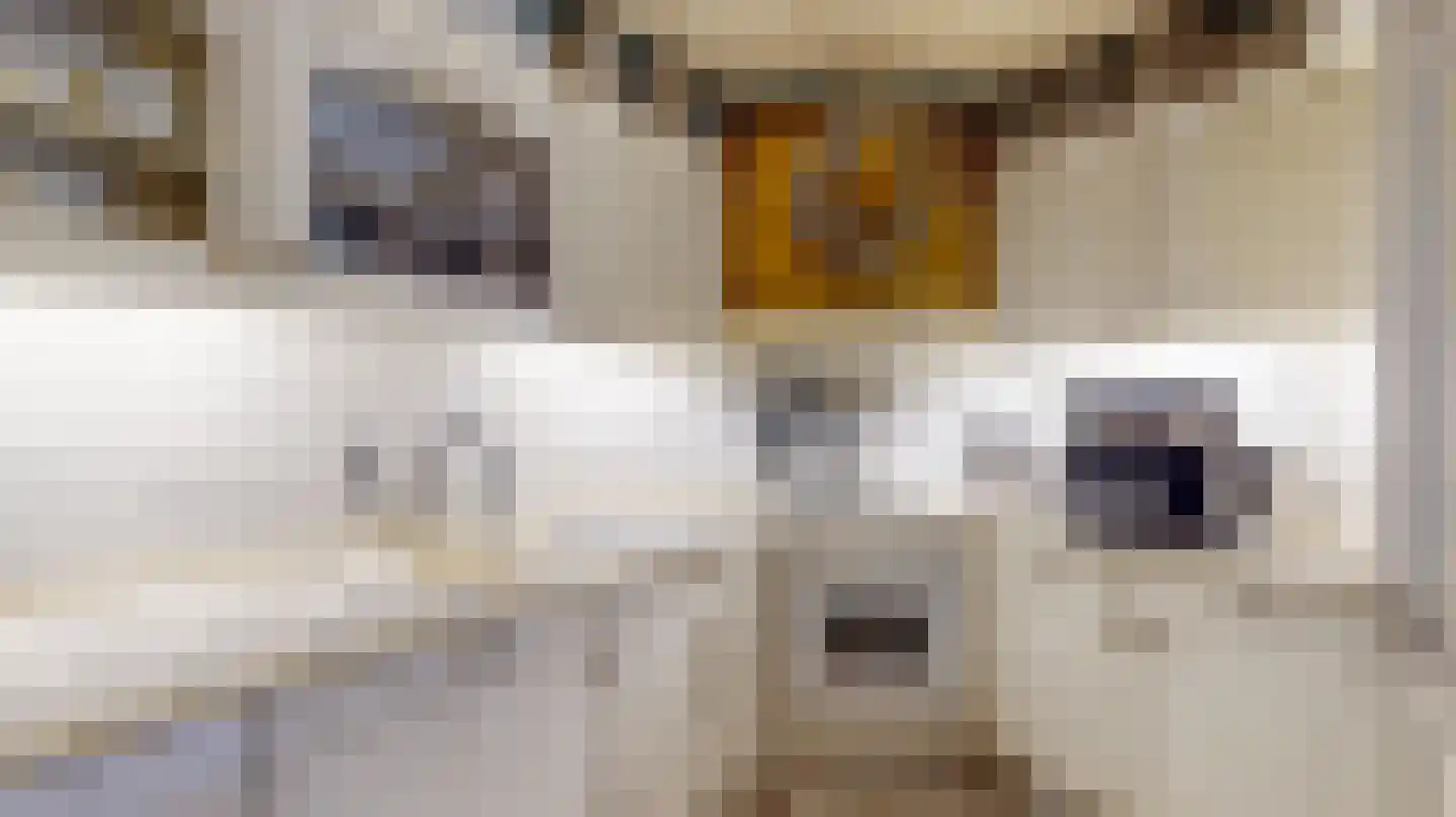 Kampstraat 126 Kerkrade thumbnail 18