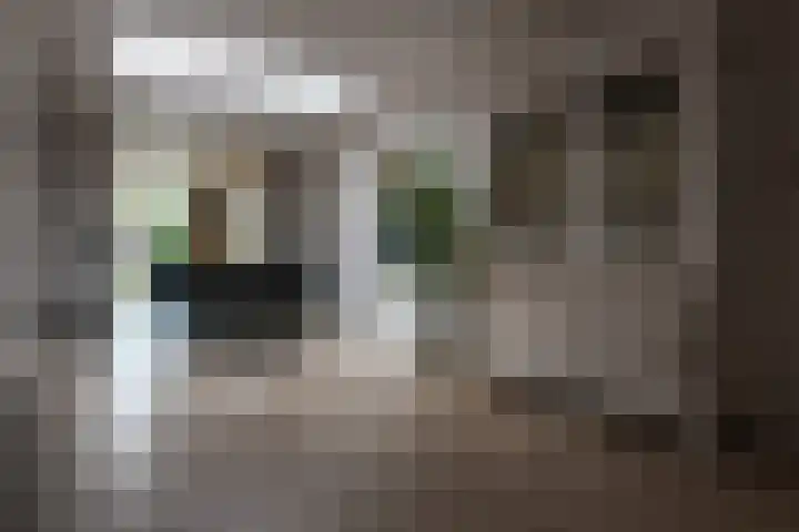 Kampstraat 138 Kerkrade thumbnail 9