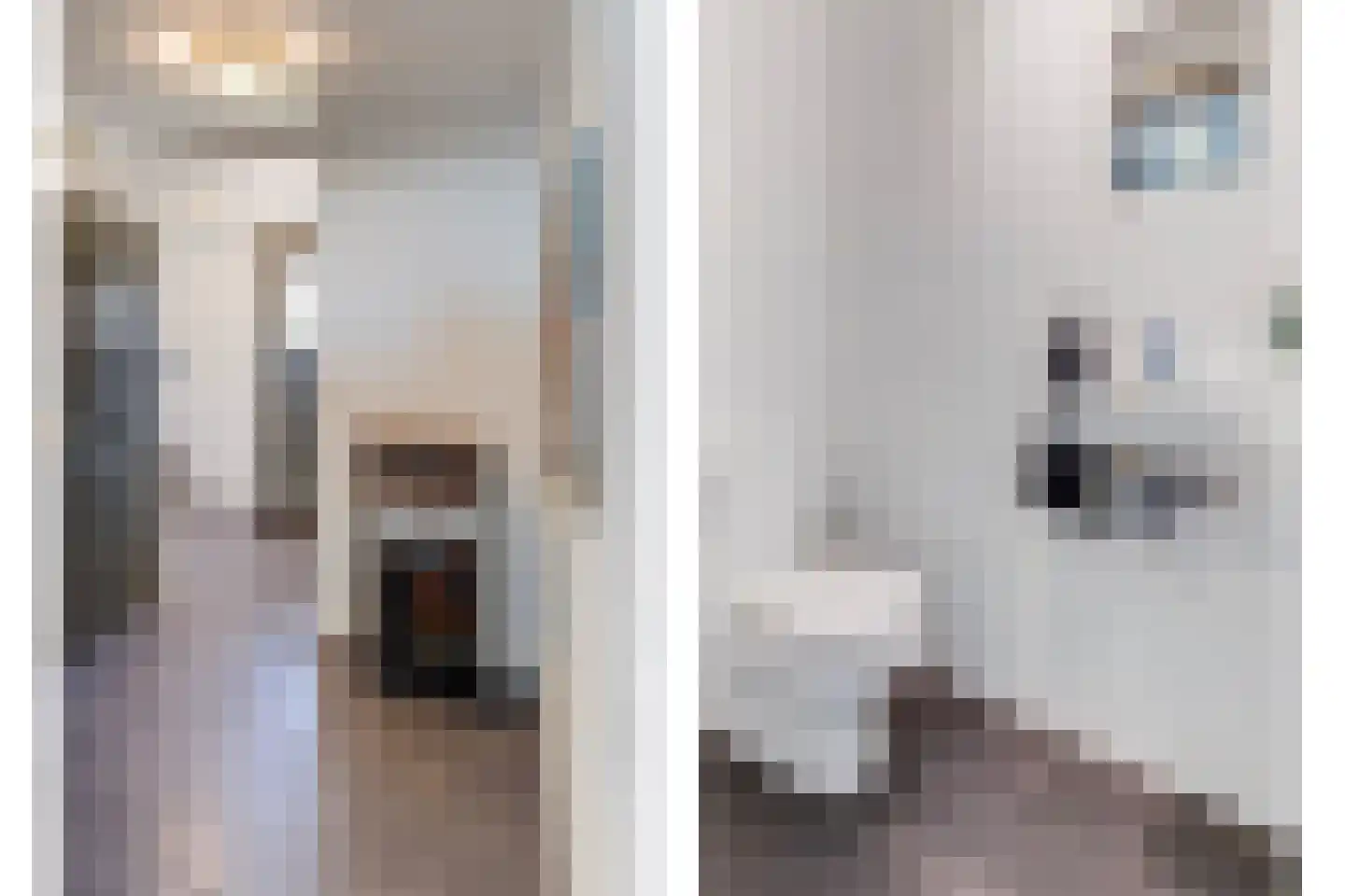 Kampstraat 14 Jabeek thumbnail 4