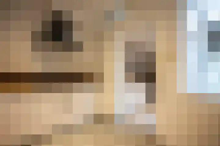 Kampstraat 14 Kerkrade thumbnail 10