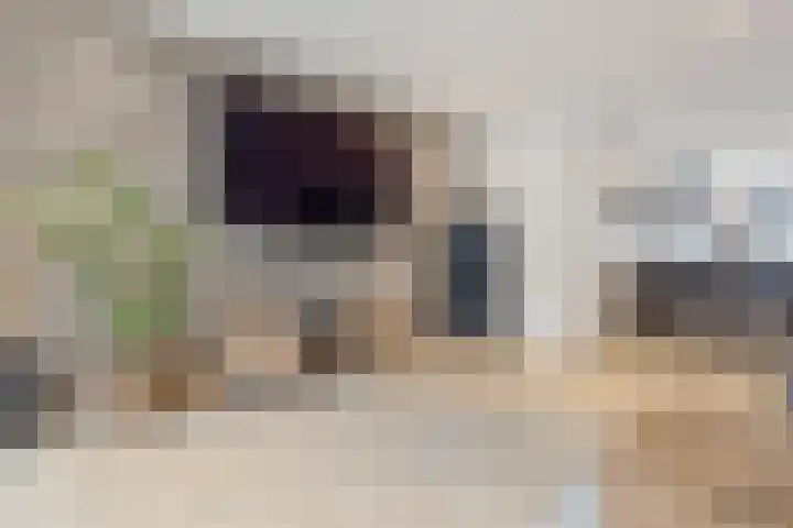 Kampstraat 15 Buchten thumbnail 10