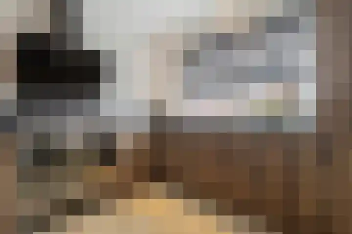 Kampstraat 15 Buchten thumbnail 15