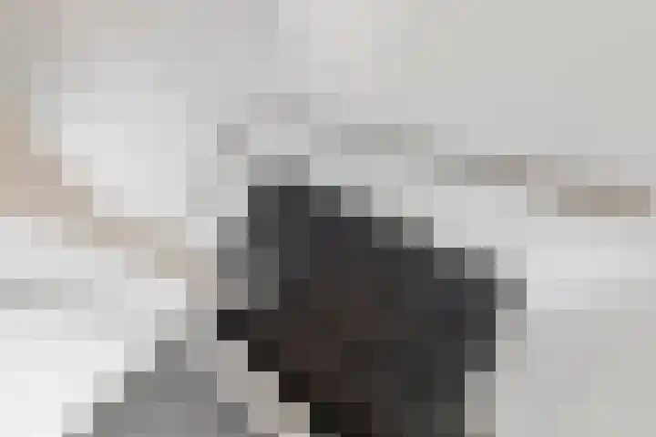 Kampstraat 15 Buchten thumbnail 23