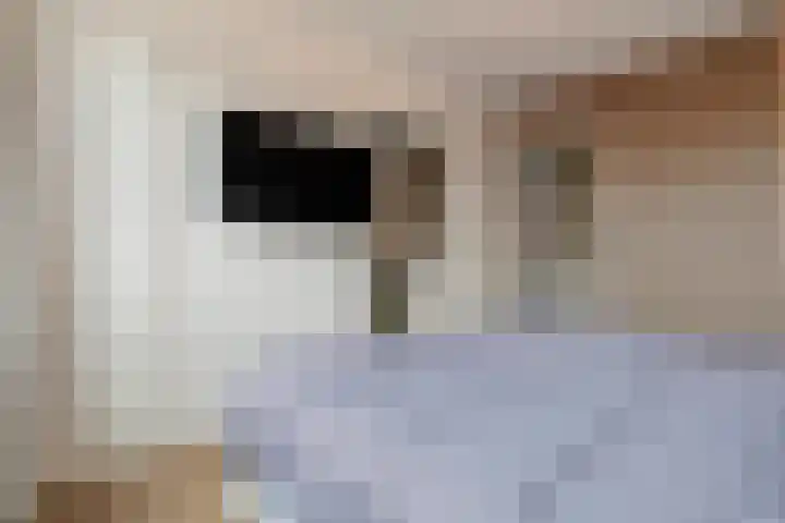 Kampstraat 15 Buchten thumbnail 27