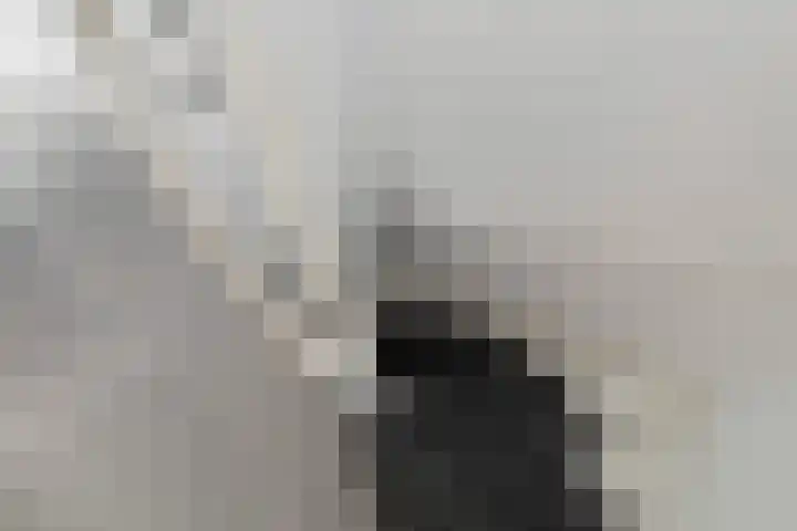 Kampstraat 15 Buchten thumbnail 35