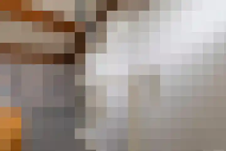 Kampstraat 15 Buchten thumbnail 36