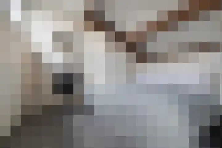 Kampstraat 15 Buchten thumbnail 37