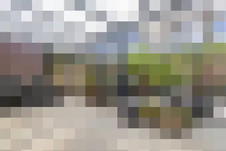 Kampstraat 15 Buchten thumbnail 40