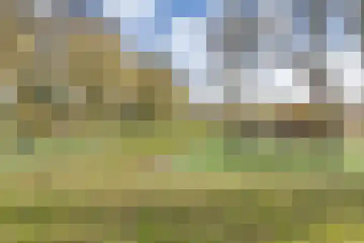 Kampstraat 15 Buchten thumbnail 41