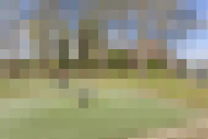Kampstraat 15 Buchten thumbnail 42