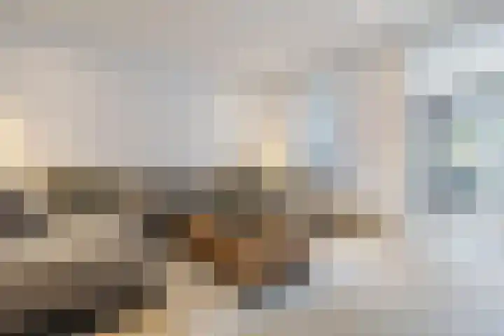 Kampstraat 15 Buchten thumbnail 8