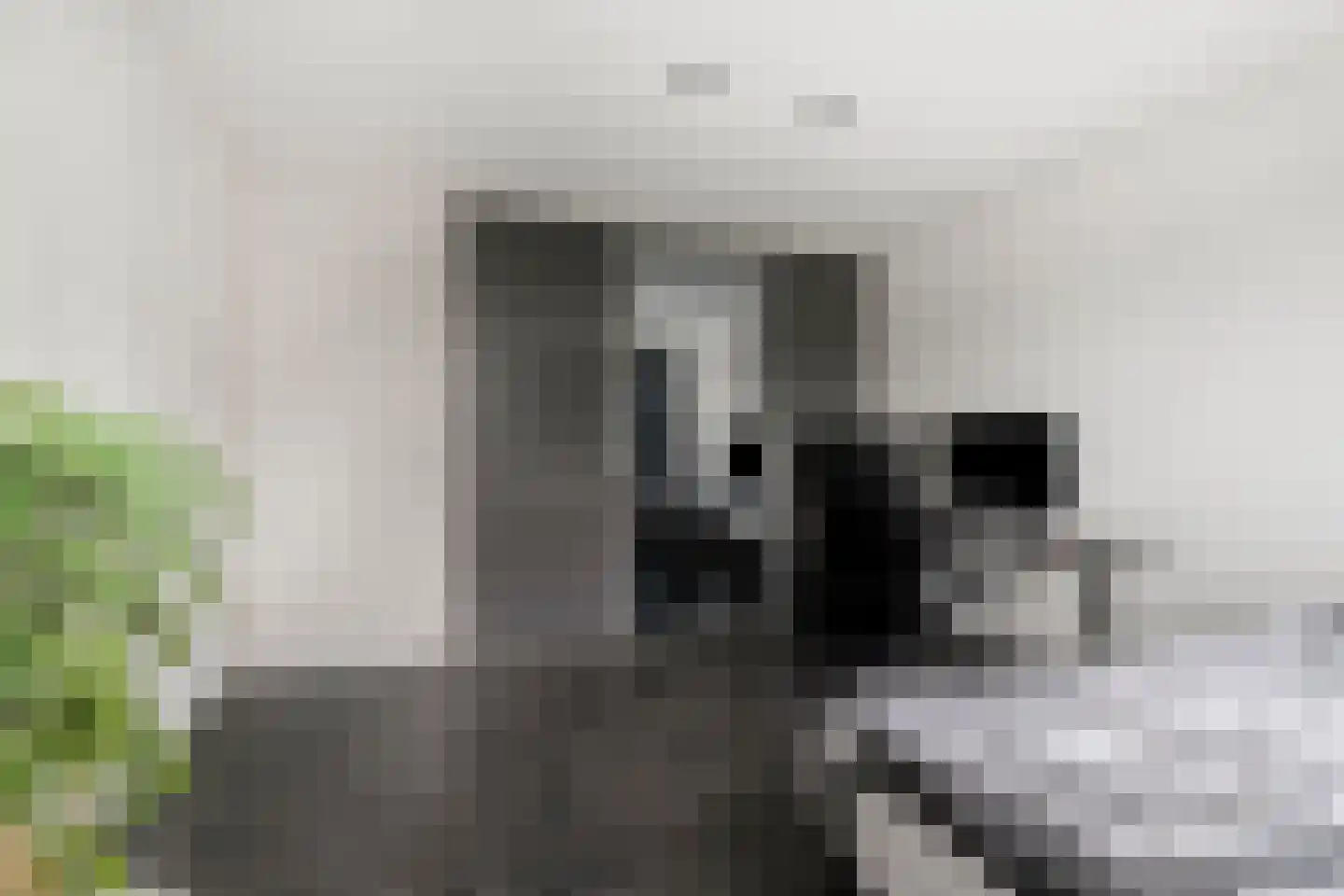 Kampstraat 16 Ens thumbnail 19