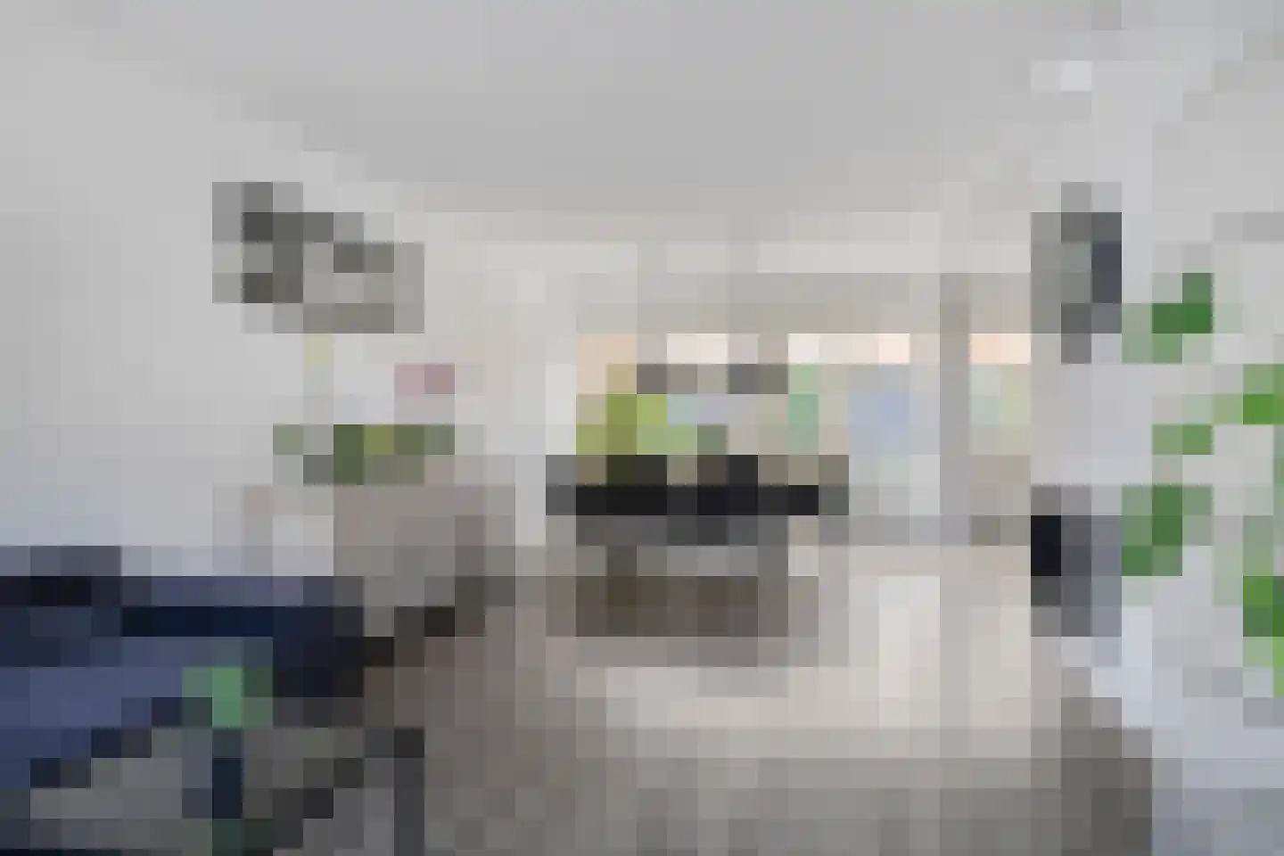 Kampstraat 16 Ens thumbnail 9