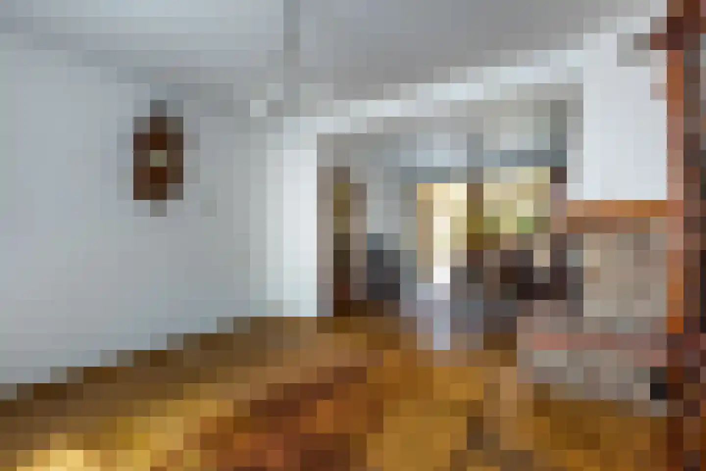 Kampstraat 162 Kerkrade thumbnail 7