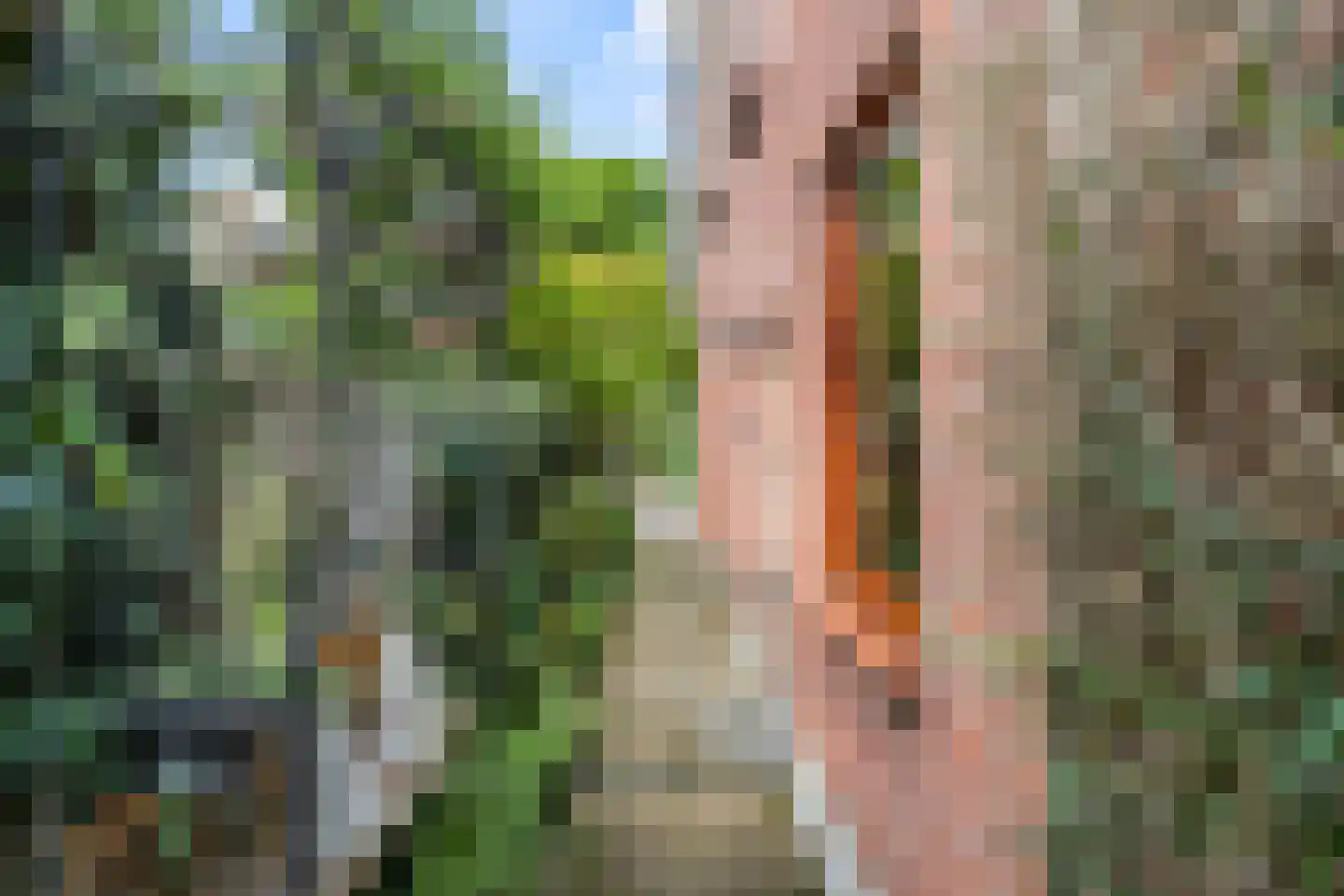 Kampstraat 17 Ede thumbnail 7