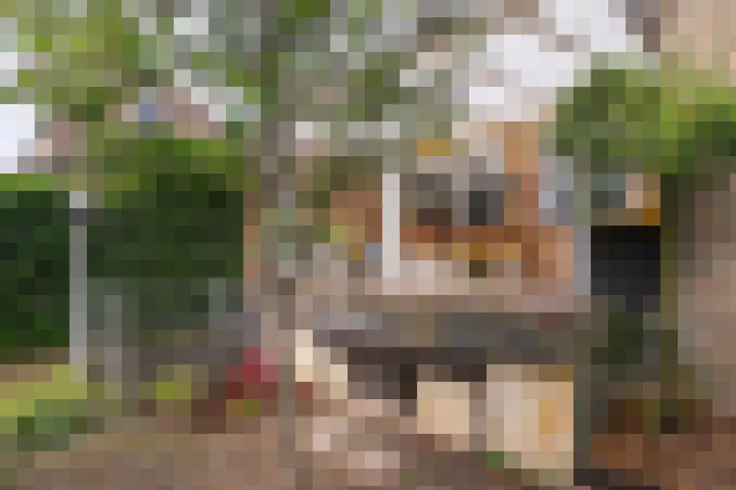 Kampstraat 17 Jabeek thumbnail 24