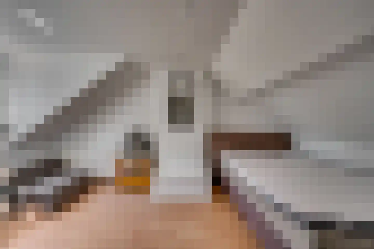 Kampstraat 17 Tegelen thumbnail 21