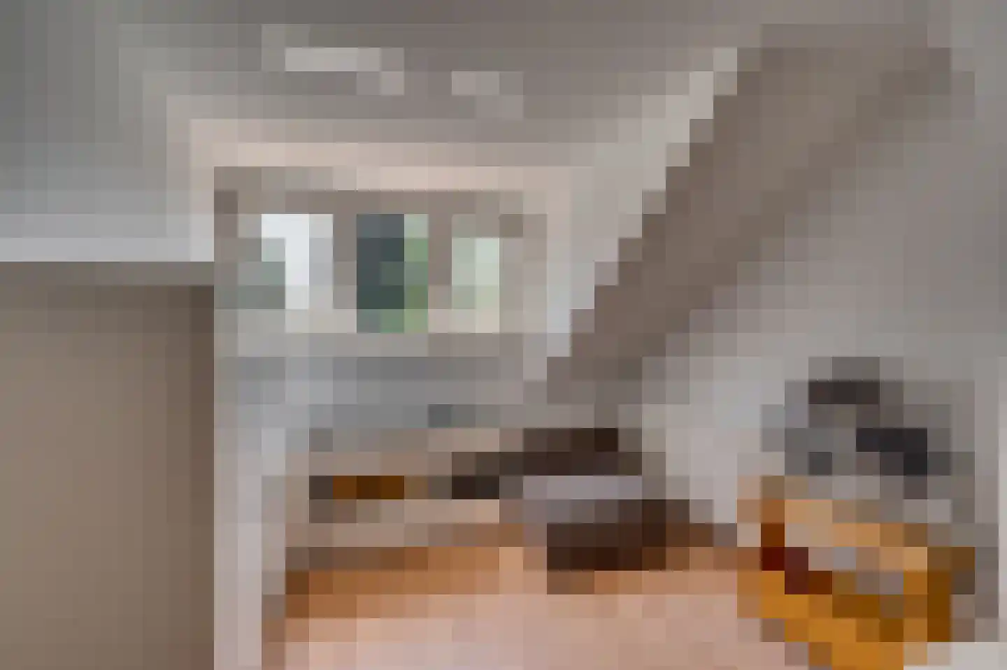 Kampstraat 17 Tegelen thumbnail 22