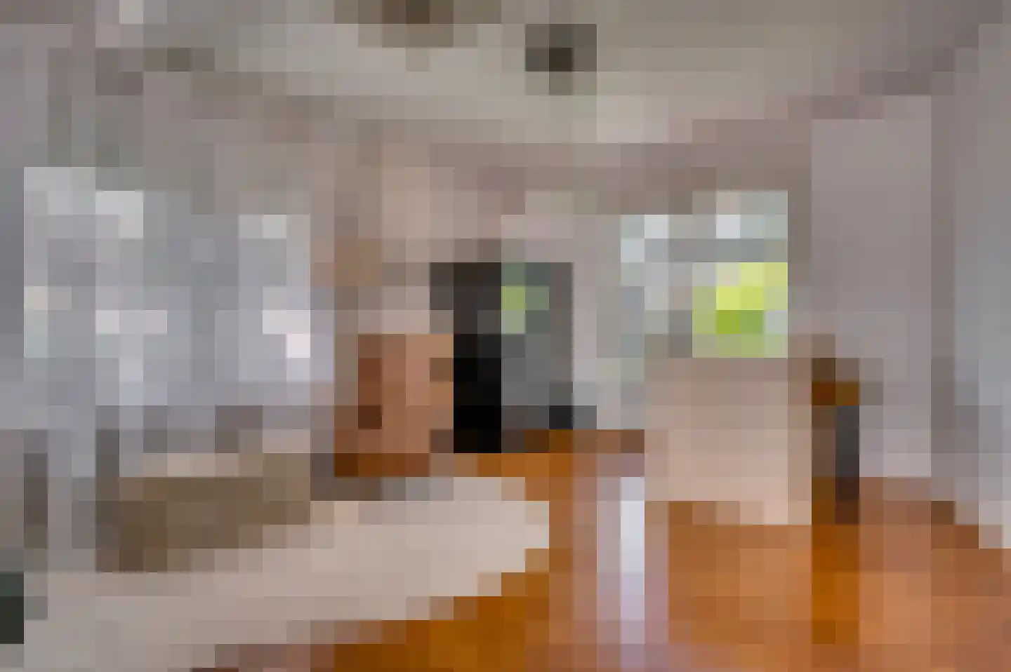Kampstraat 17 Tegelen thumbnail 4