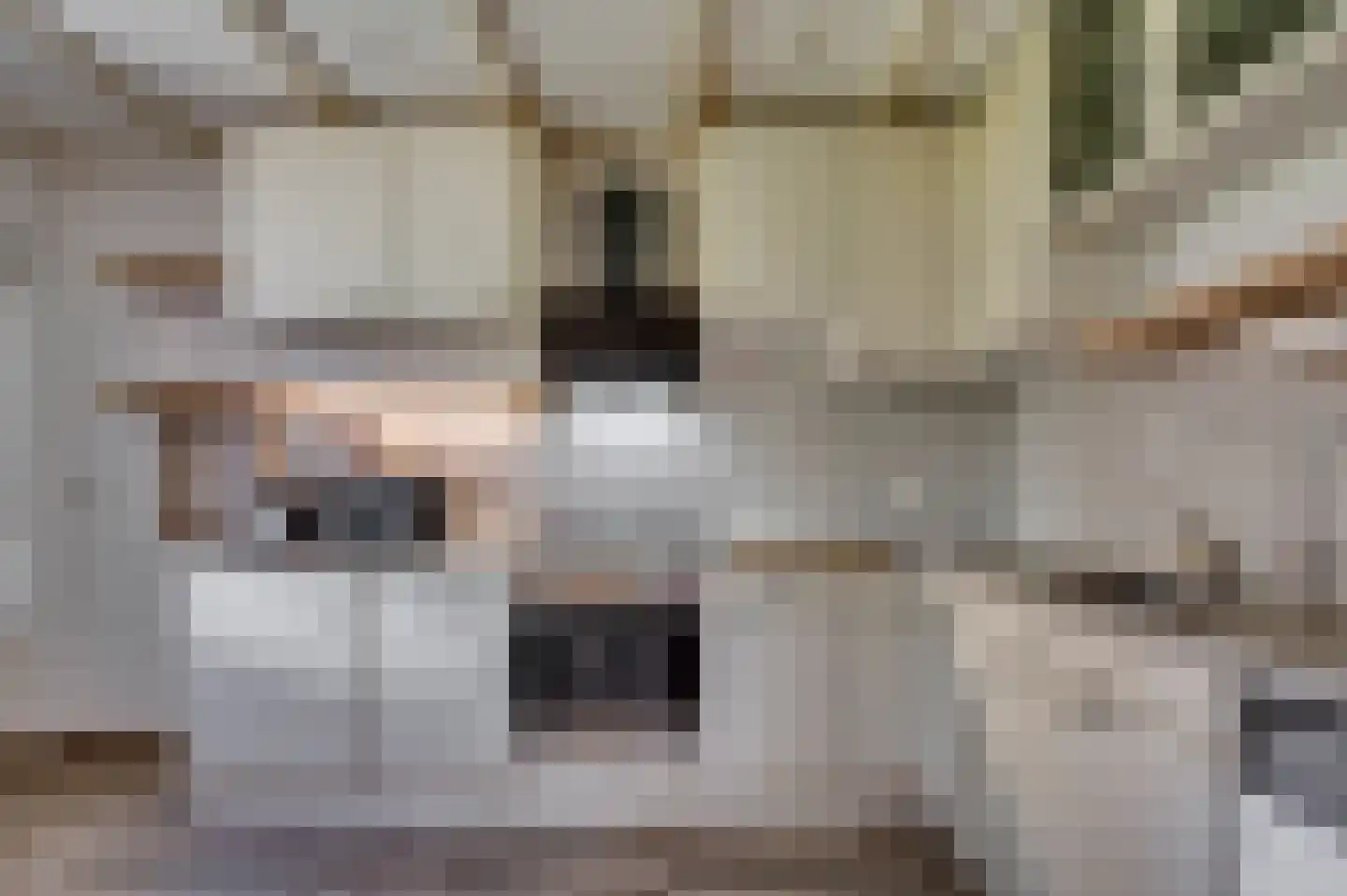Kampstraat 17 Tegelen thumbnail 5