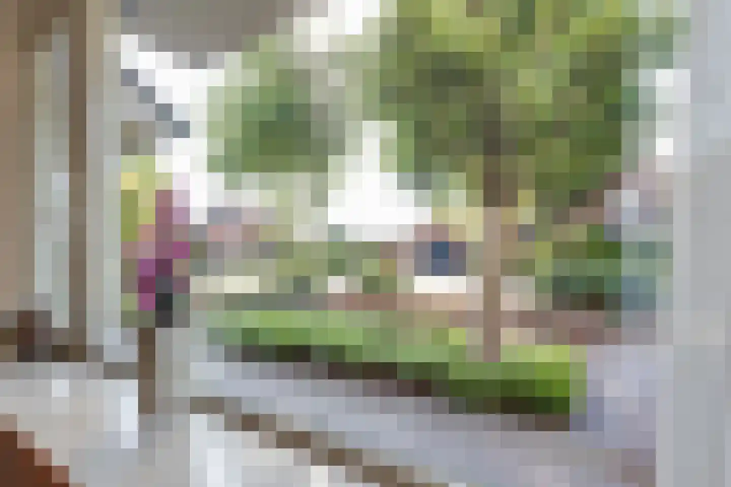 Kampstraat 18 Beltrum thumbnail 10