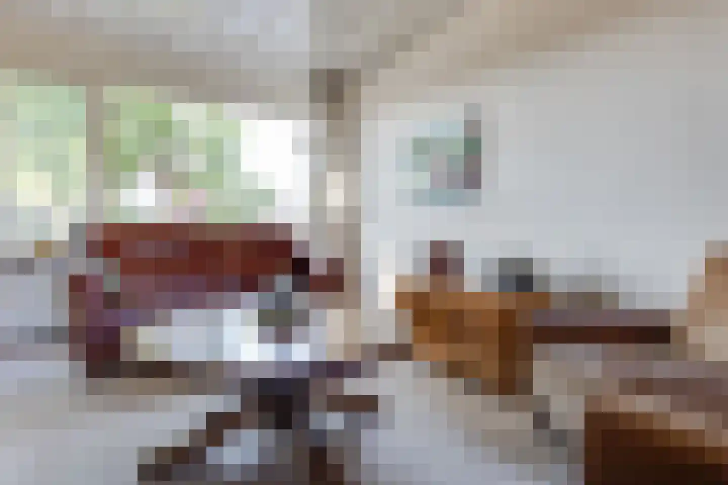 Kampstraat 18 Beltrum thumbnail 12