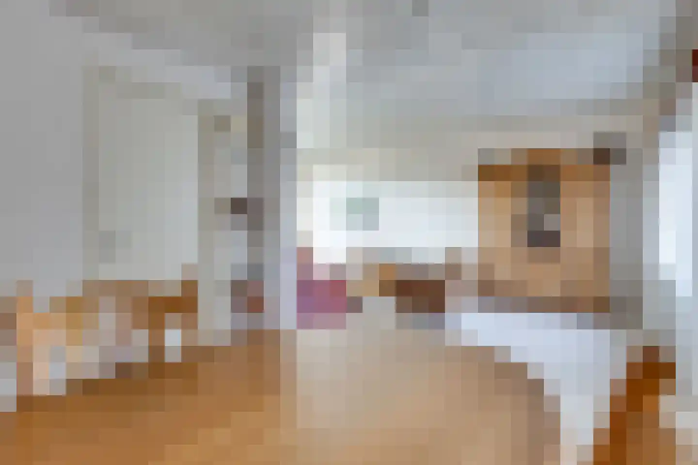 Kampstraat 18 Beltrum thumbnail 15
