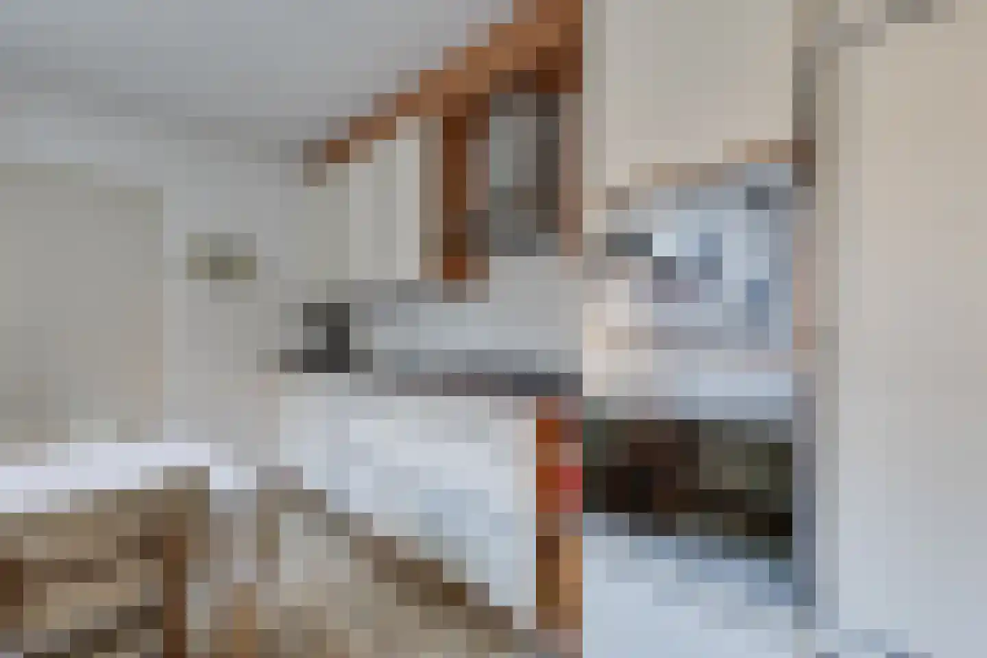 Kampstraat 18 Beltrum thumbnail 18