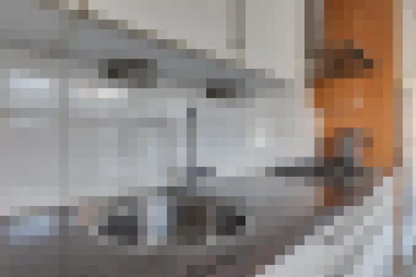 Kampstraat 18 Beltrum thumbnail 20