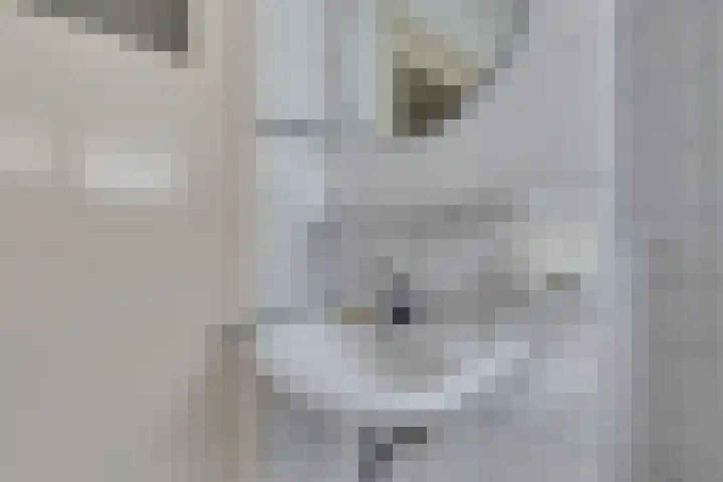 Kampstraat 18 Beltrum thumbnail 37