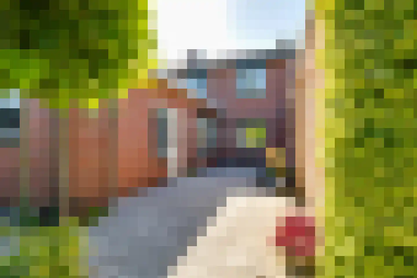 Kampstraat 18 Beltrum thumbnail 41