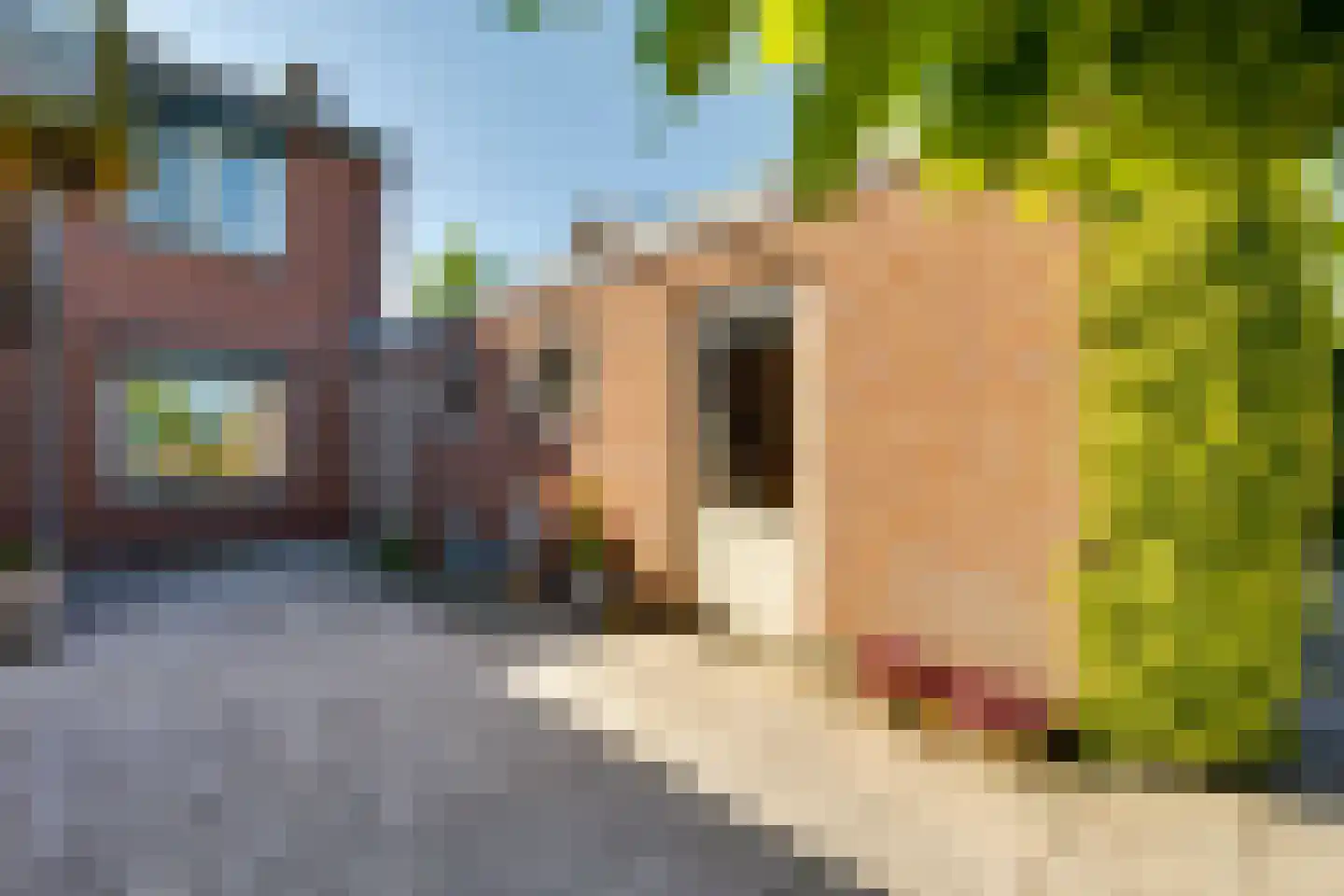Kampstraat 18 Beltrum thumbnail 42