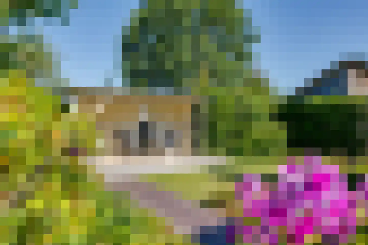 Kampstraat 18 Beltrum thumbnail 47