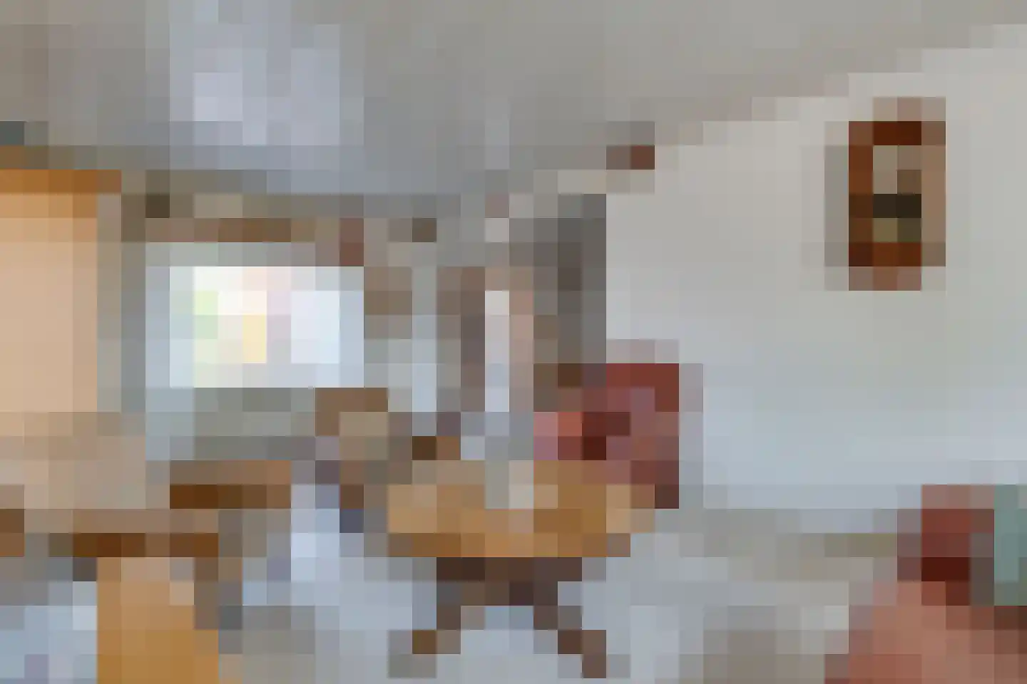 Kampstraat 18 Beltrum thumbnail 9