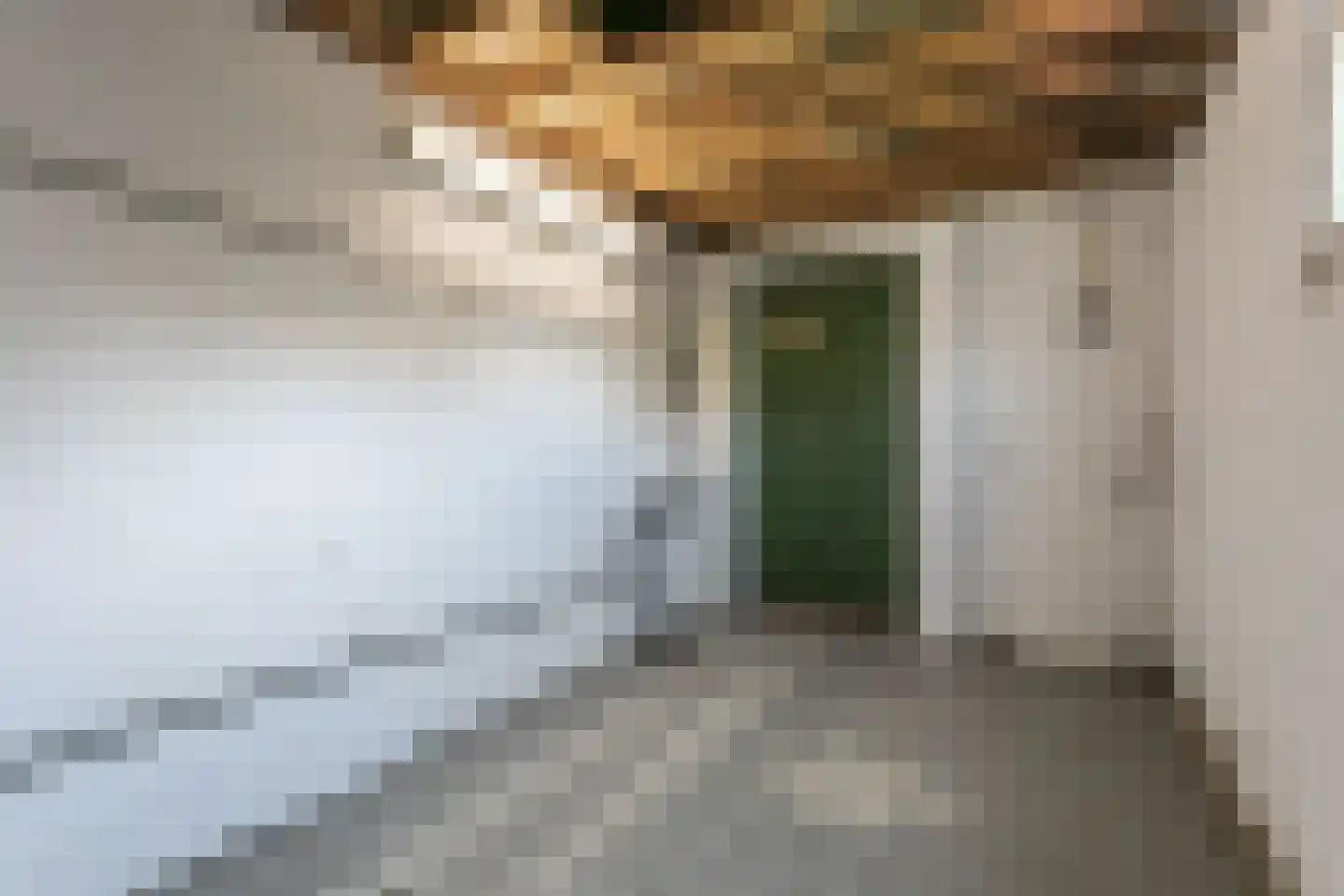 Kampstraat 18 Schinveld thumbnail 33