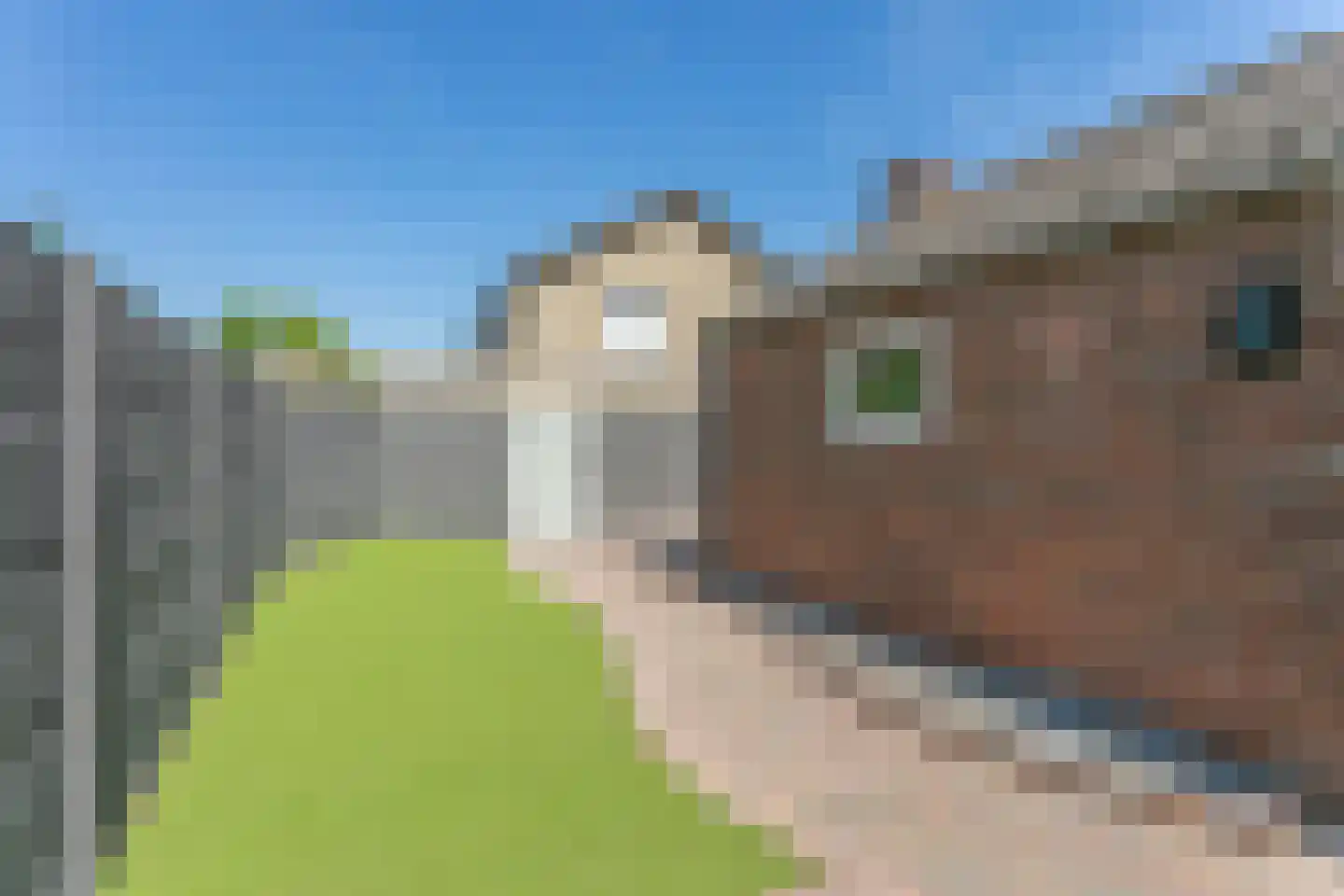 Kampstraat 18 Schinveld thumbnail 36