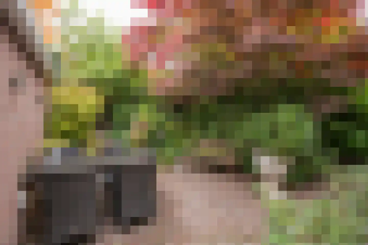 Kampstraat 2 Heerlen thumbnail 25
