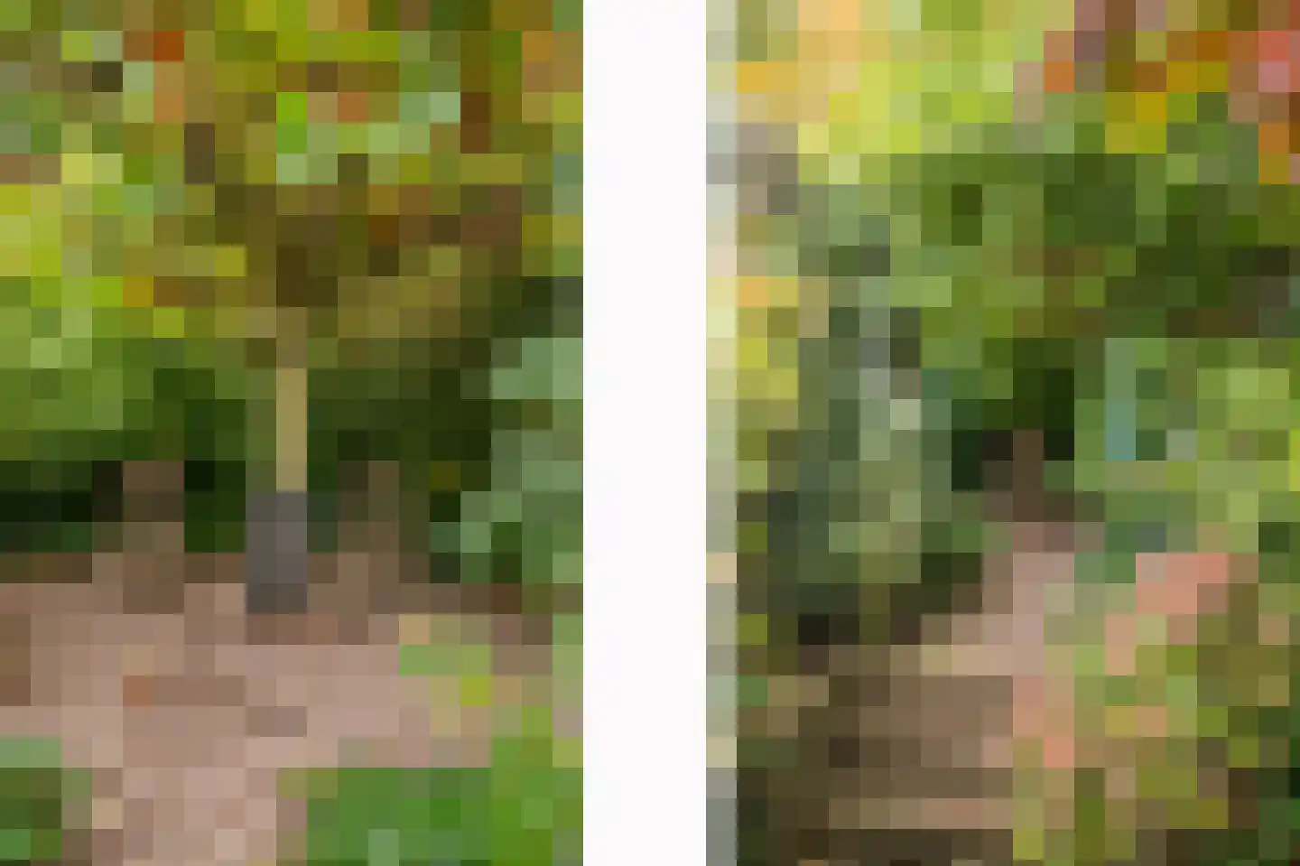 Kampstraat 2 Heerlen thumbnail 30