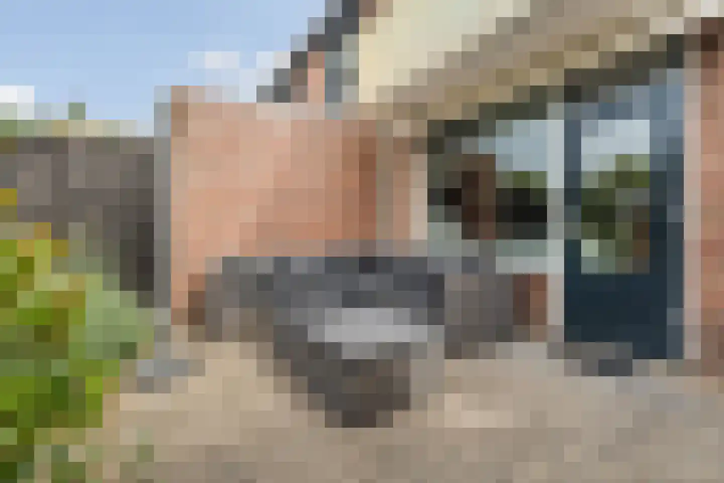 Kampstraat 23 Zevenaar thumbnail 27