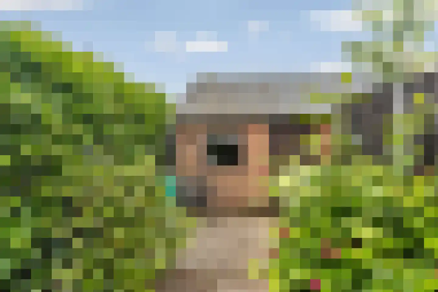 Kampstraat 23 Zevenaar thumbnail 31