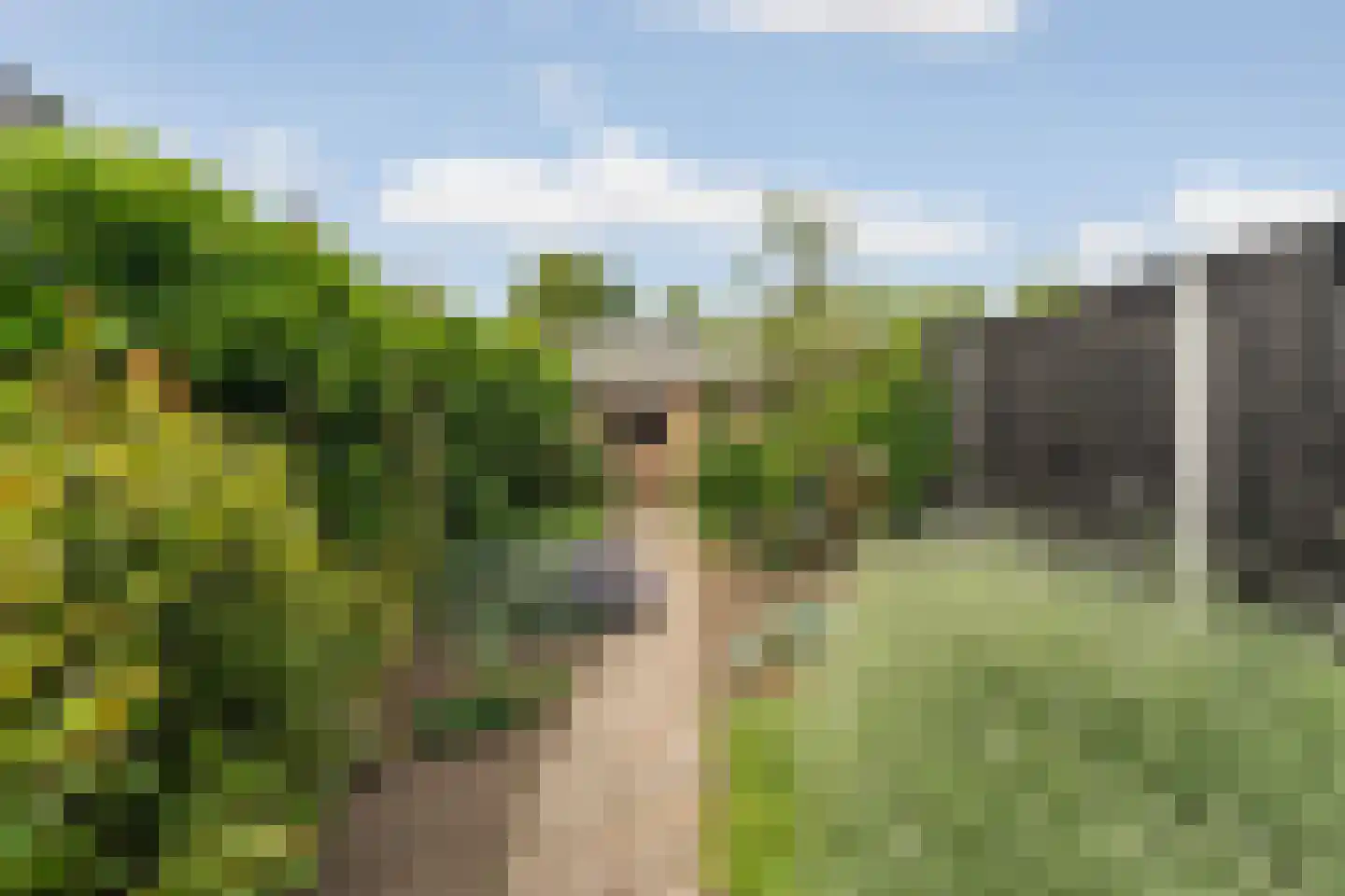Kampstraat 23 Zevenaar thumbnail 4