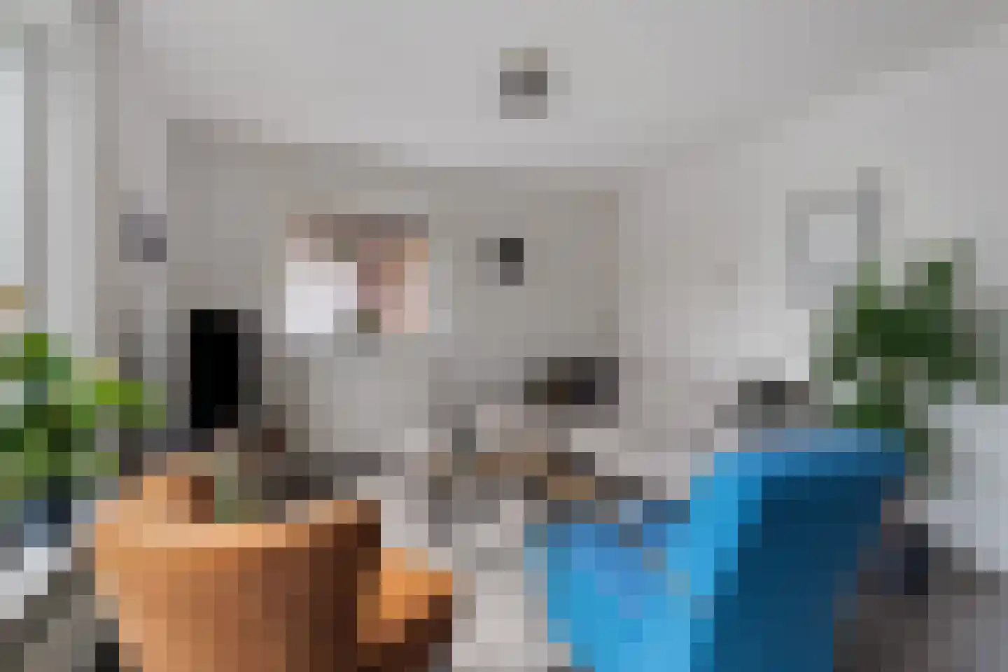 Kampstraat 23 Zevenaar thumbnail 7