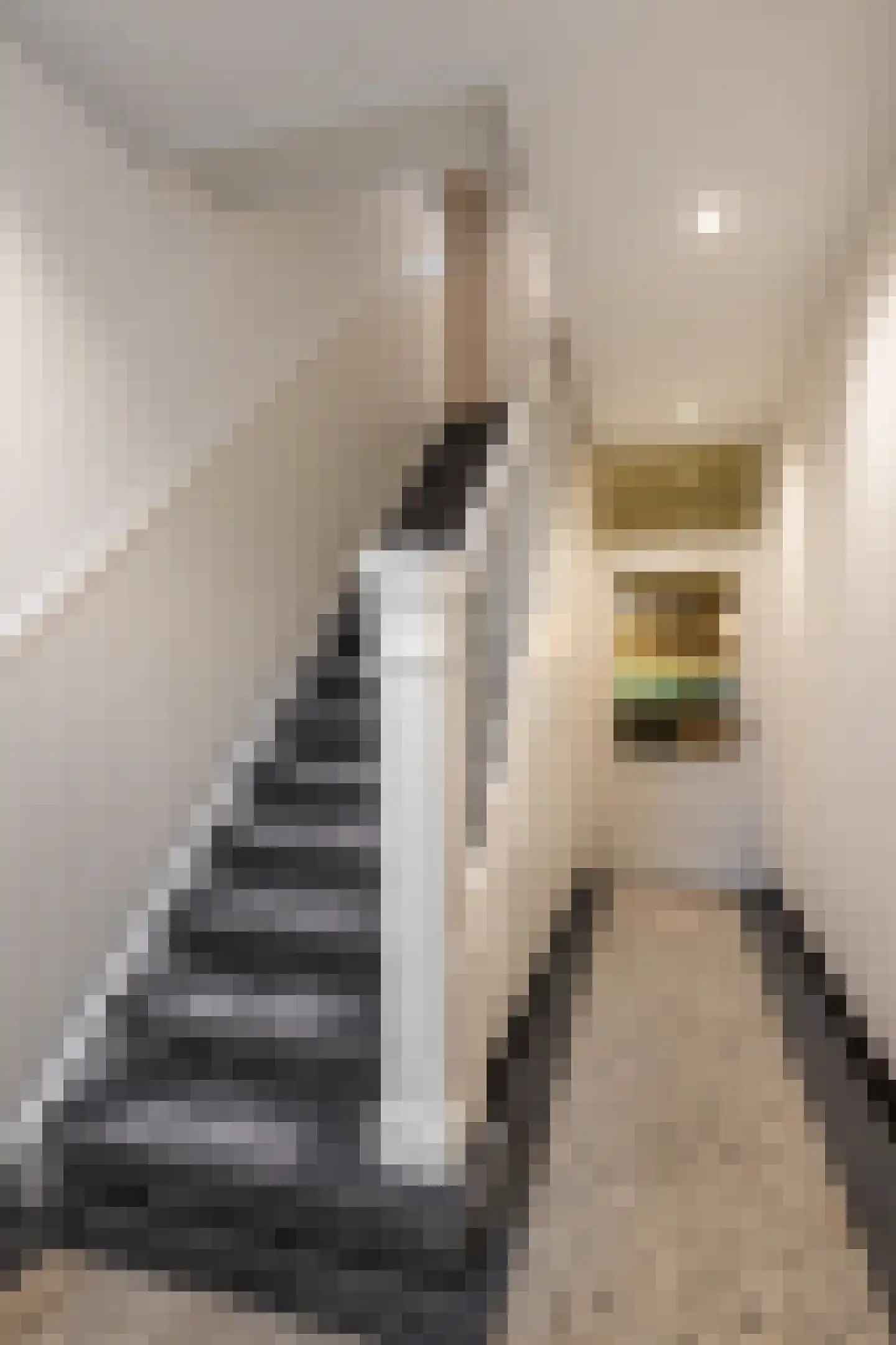 Kampstraat 24 Landgraaf thumbnail 5