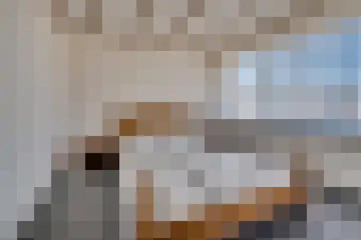 Kampstraat 26 Lomm thumbnail 15