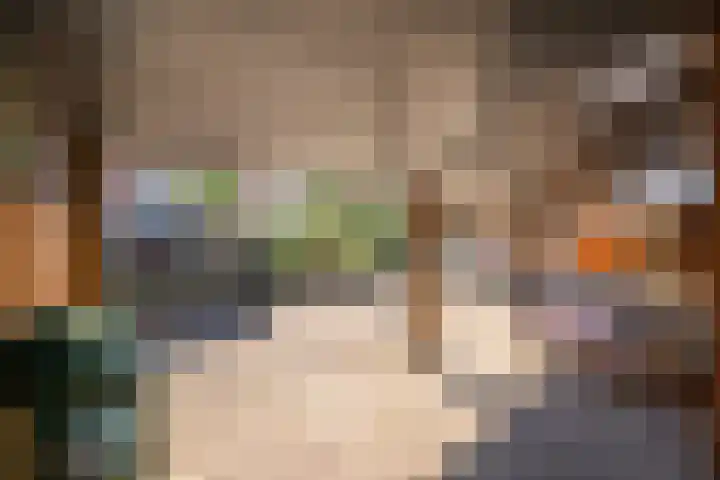 Kampstraat 26 Lomm thumbnail 22