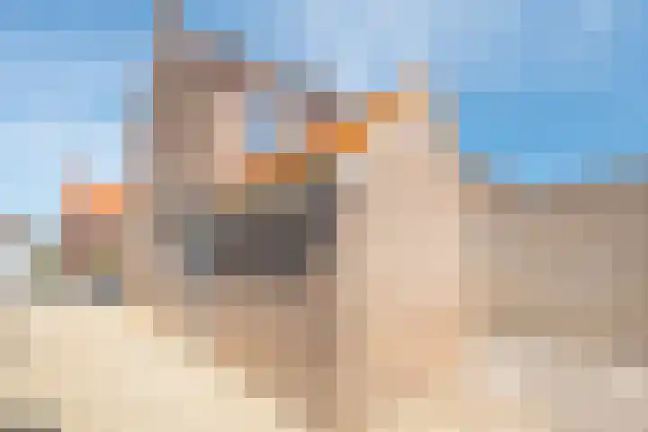 Kampstraat 26 Susteren thumbnail 19