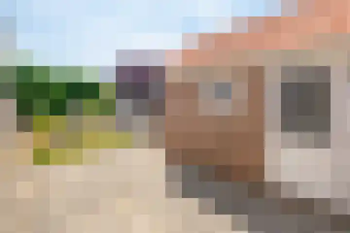 Kampstraat 26 Susteren thumbnail 20